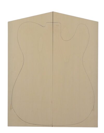 Holly GuitarSolidBodyTopATC L26357.G.001