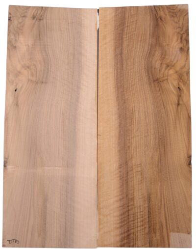 Walnut (English) GuitarSolidBodyTopATC L3181.G.001
