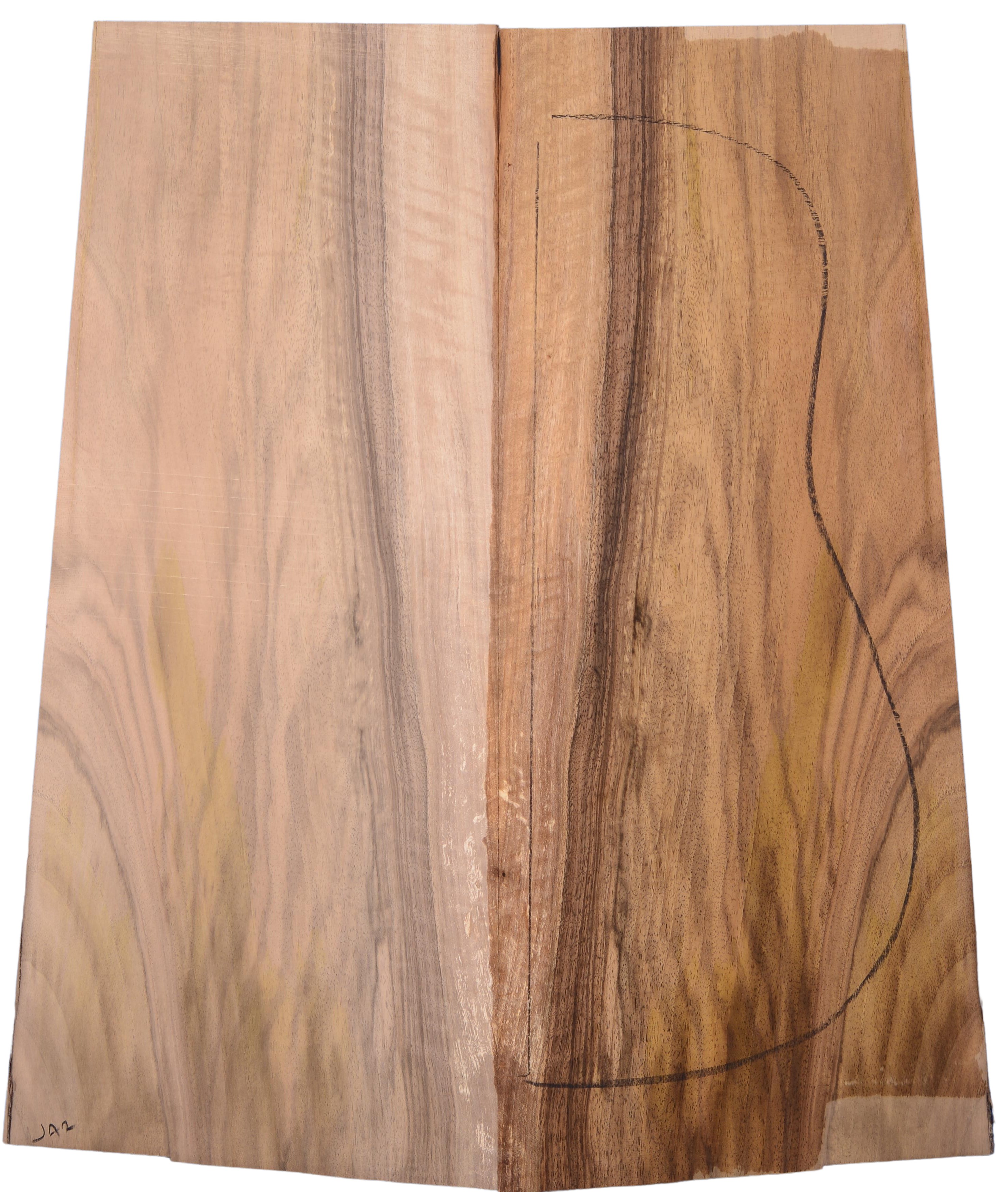 Walnut (English) GuitarBack2pcATC L3181.G.005