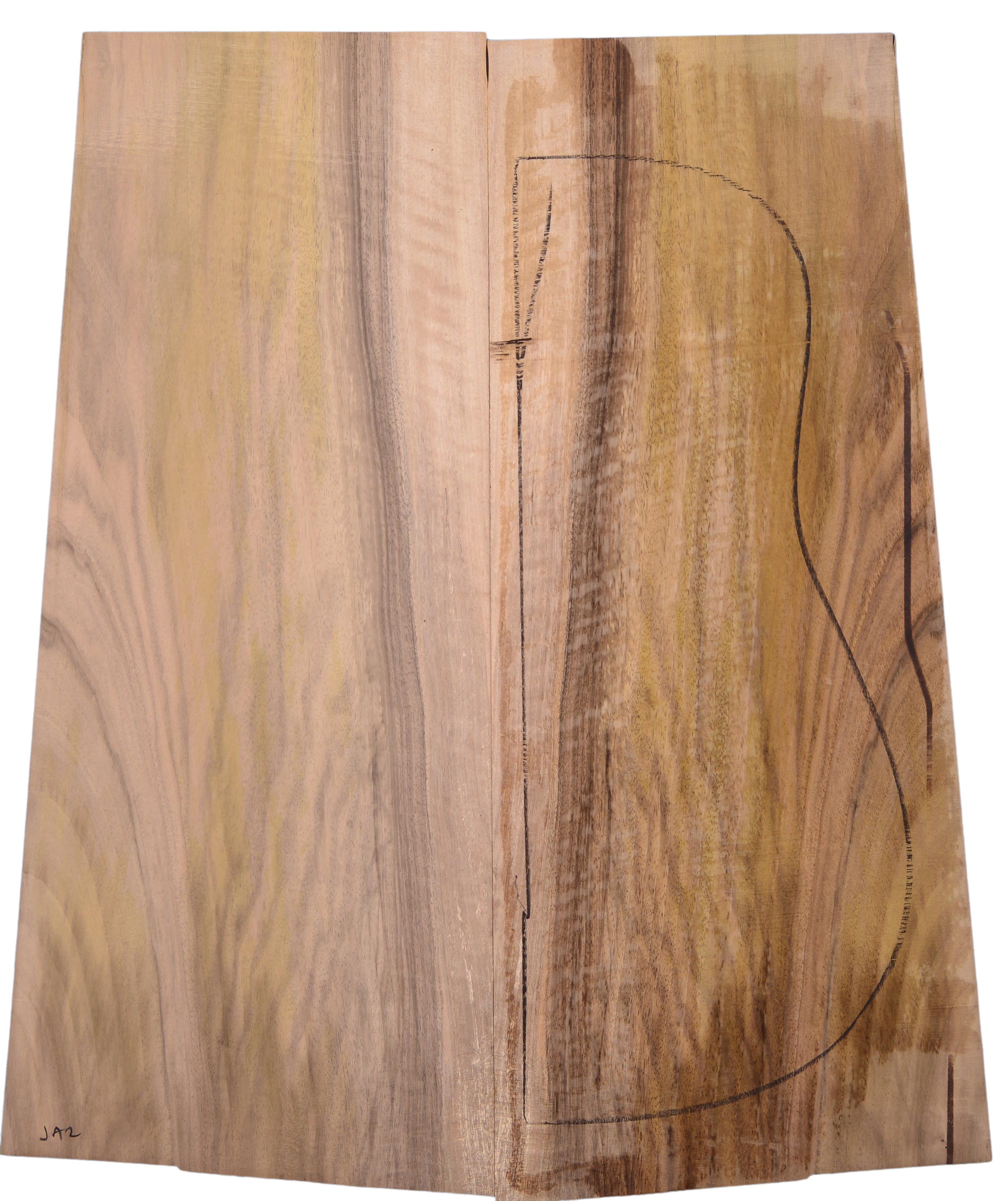 Walnut (English) GuitarBack2pcATC L3181.G.006