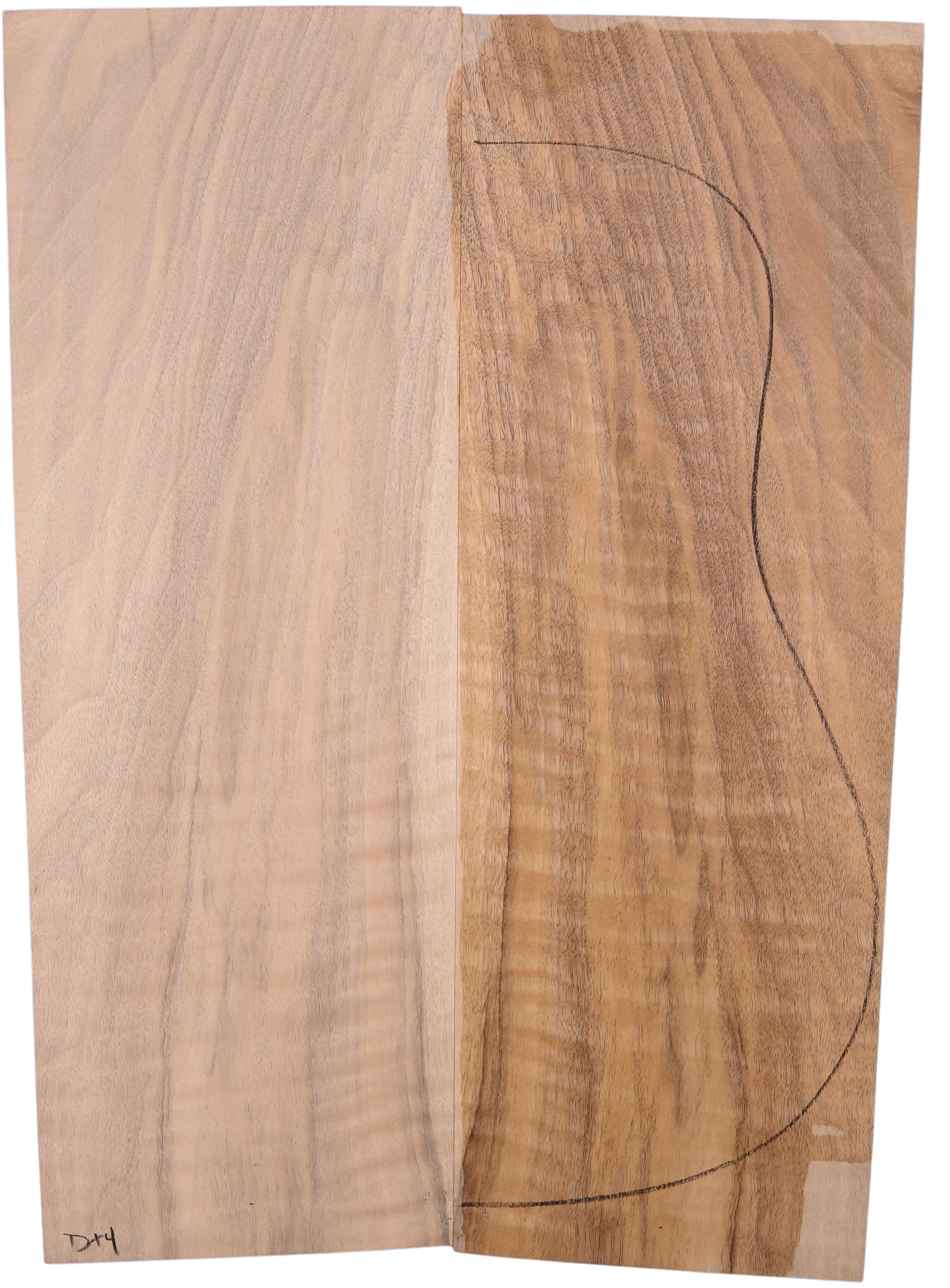 Walnut (English) GuitarBack2pcATC L3181.G.007