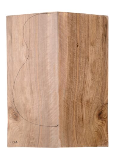 Walnut (English) GuitarBack2pcATC L3981-90.G.006