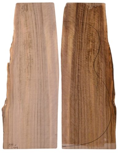 Walnut (English) GuitarBack2pcATC L3981-90.G.035
