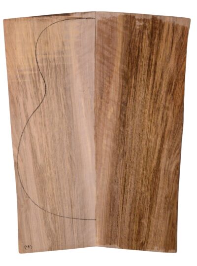 Walnut (English) GuitarBack2pcATC L3981-90.G.040