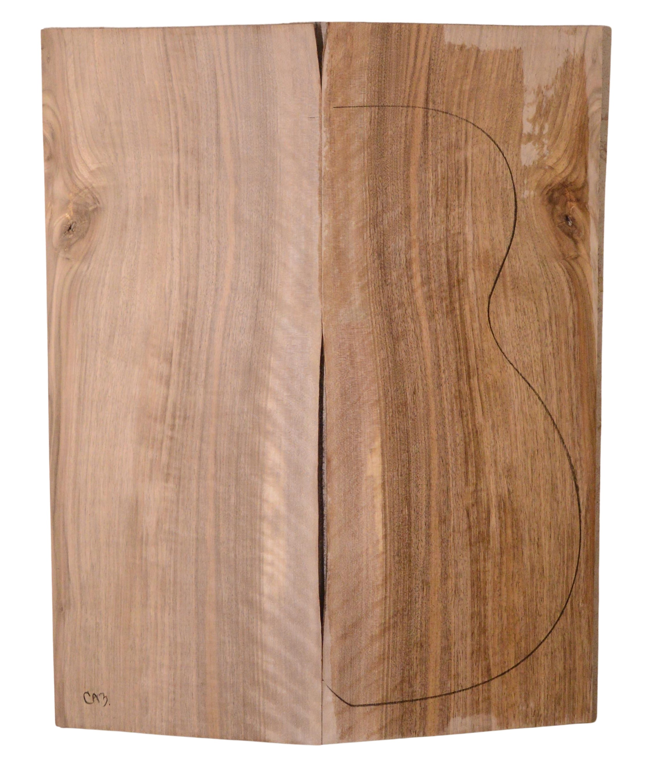 Walnut (English) GuitarBack2pcATC L3981-90.G.045