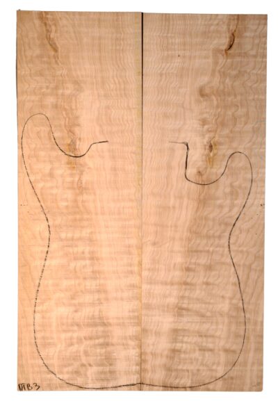 Ash (Tamo) GuitarSolidBodyTopATC L80617.G.024