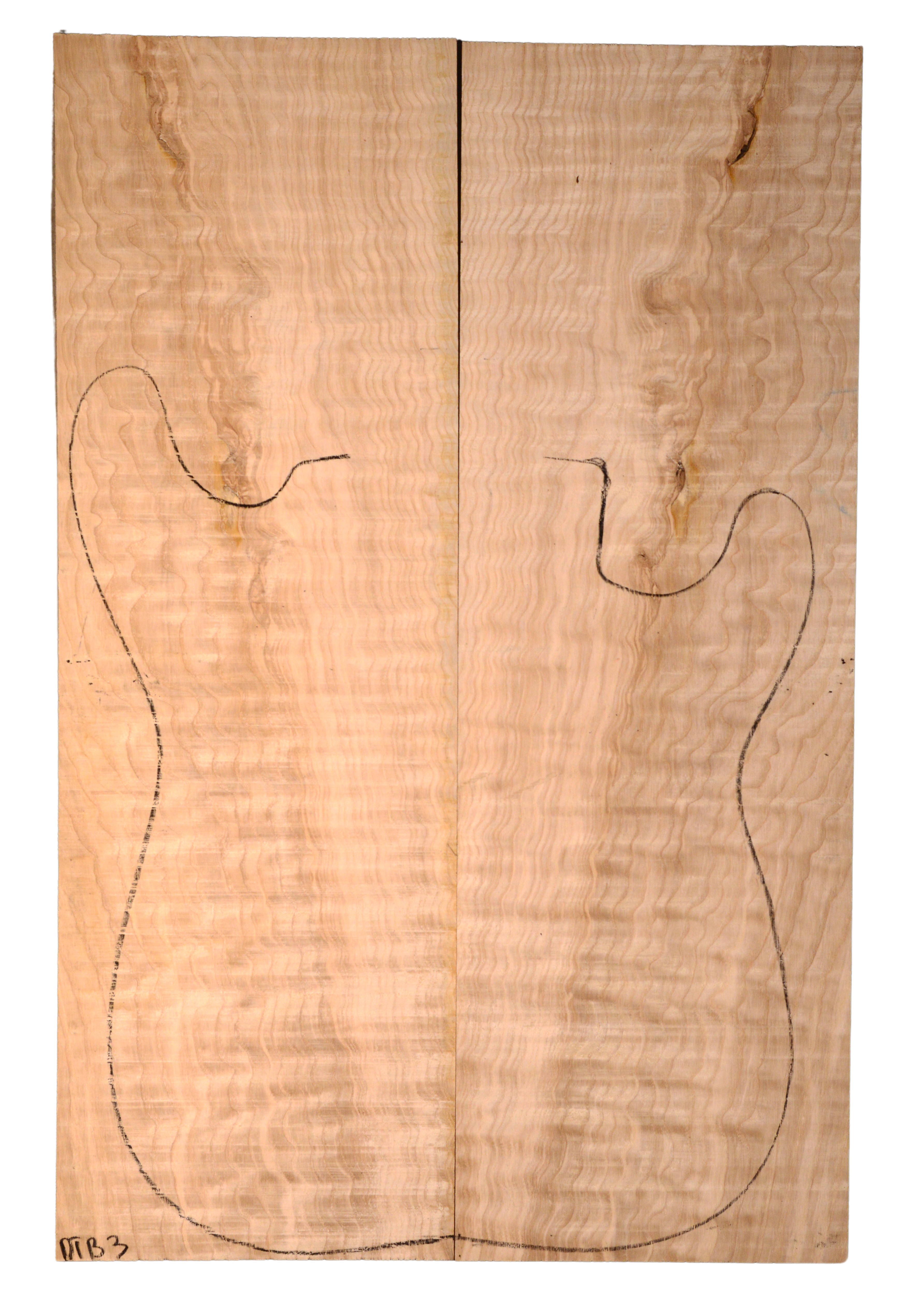 Ash (Tamo) GuitarSolidBodyTopATC L80617.G.024