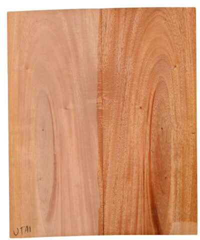Mahogany (Sinker) UkeBack2pcATC M15509.G.123