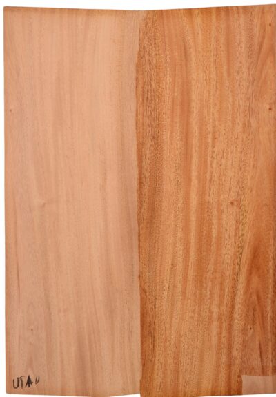 Mahogany (Sinker) UkeBack2pcATC M15509.G.125