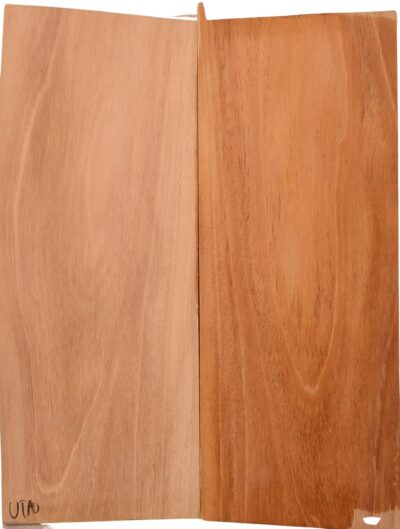 Mahogany (Sinker) UkeBack2pcATC M15509.G.128
