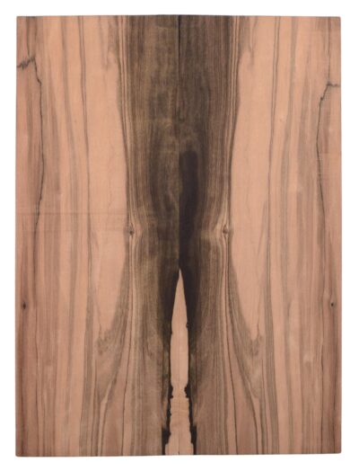 Ebony (Macassar) GuitarSolidBodyTopATC M1713.G.012