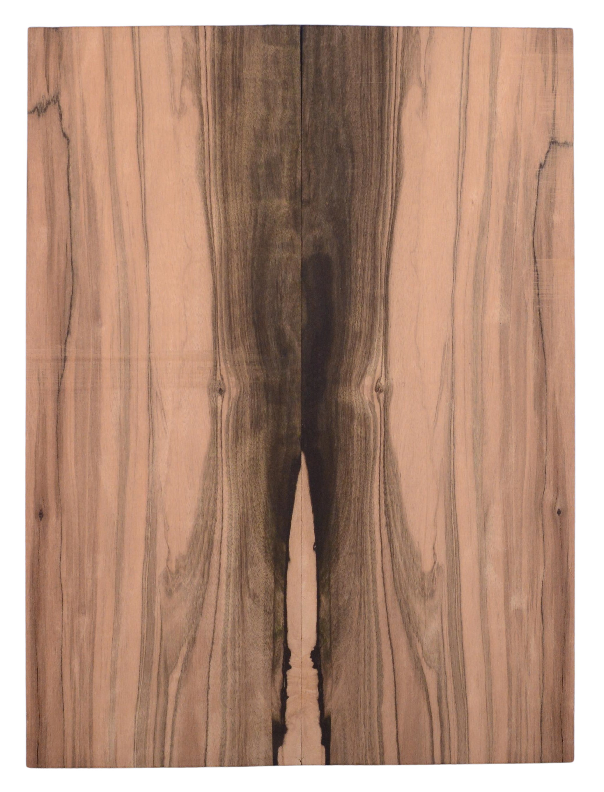 Ebony (Macassar) GuitarSolidBodyTopATC M1713.G.012
