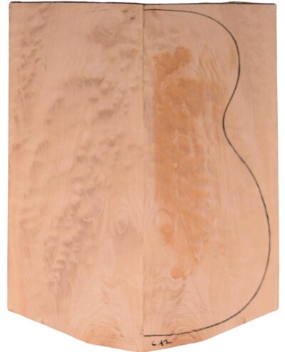 Maple (Soft) GuitarBack2pcATC M2840.G.004