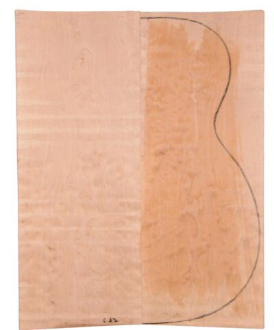Maple (Soft) GuitarBack2pcATC M2840.G.007