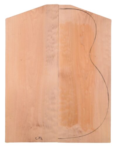 Maple (Soft) GuitarBack2pcATC M2840.G.010