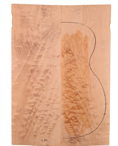 Maple (Soft) GuitarBack2pcATC M2840.G.011