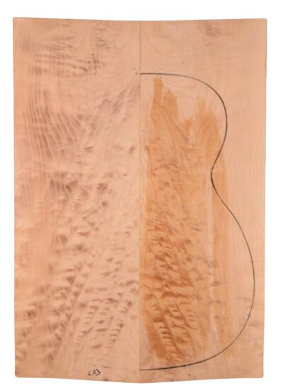 Maple (Soft) GuitarBack2pcATC M2840.G.012