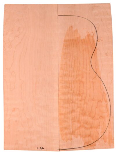 Maple (Big Leaf) GuitarBack2pcATC M2843.G.018