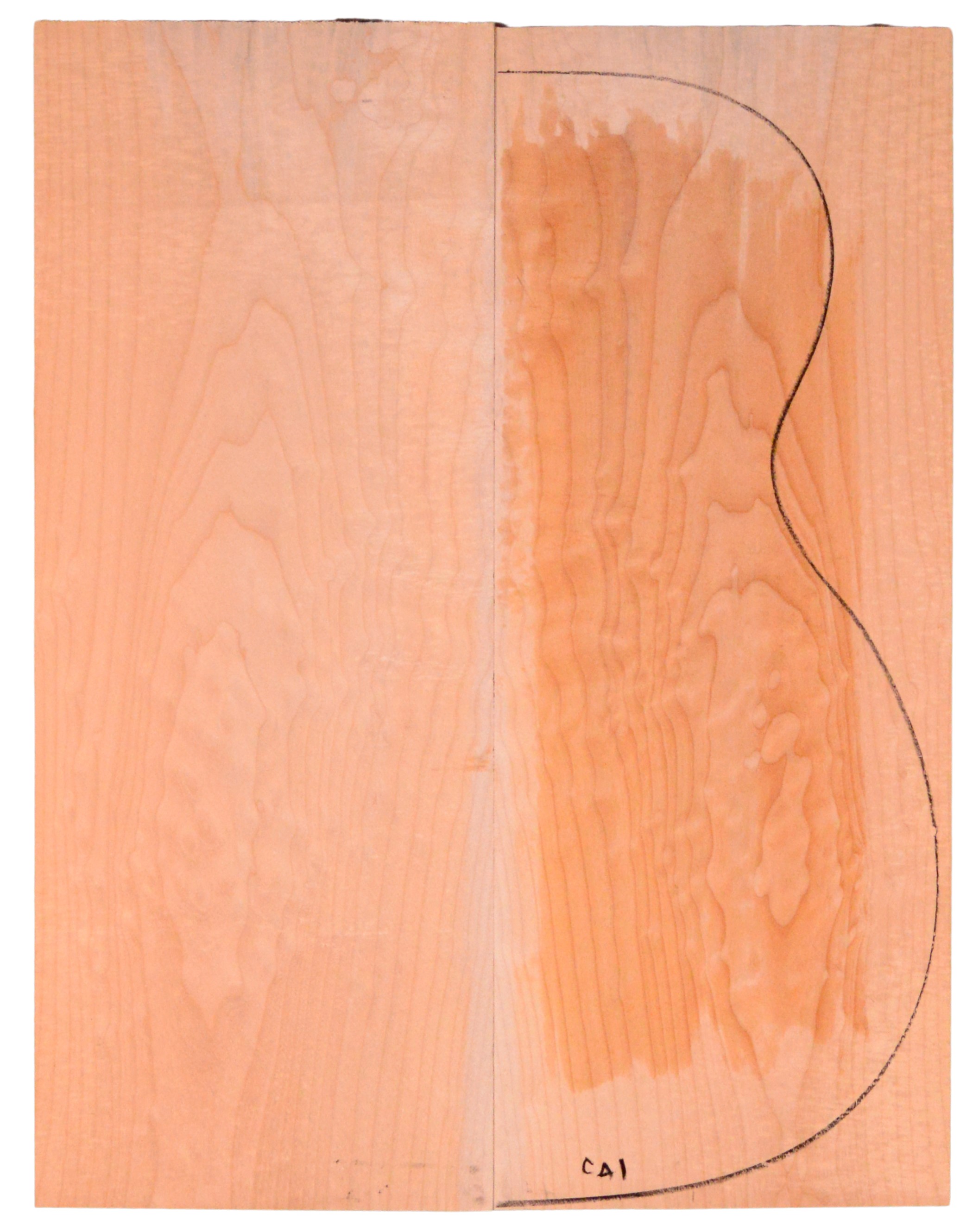 Maple (Big Leaf) GuitarBack2pcATC M2843.G.020