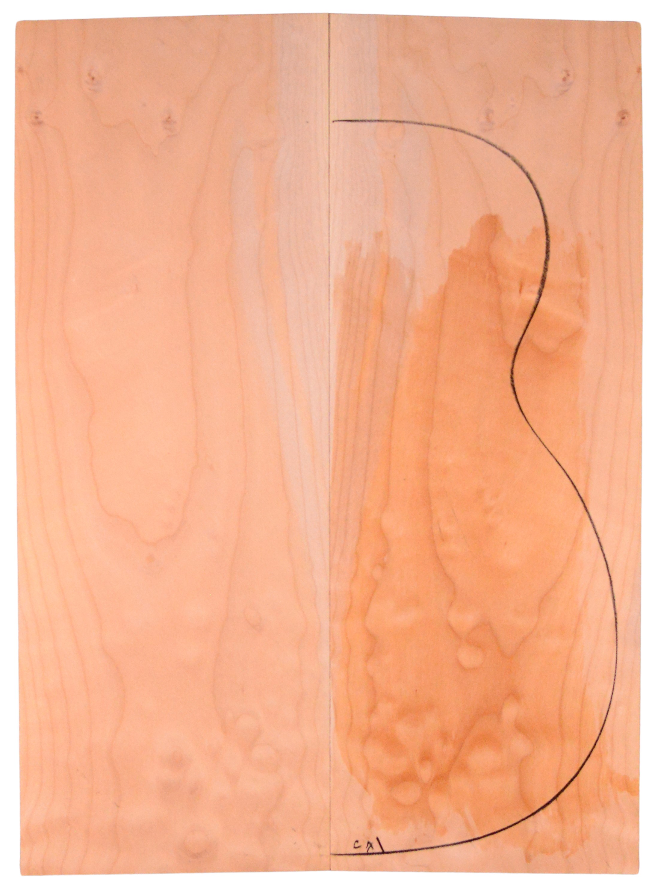 Maple (Big Leaf) GuitarBack2pcATC M2843.G.021
