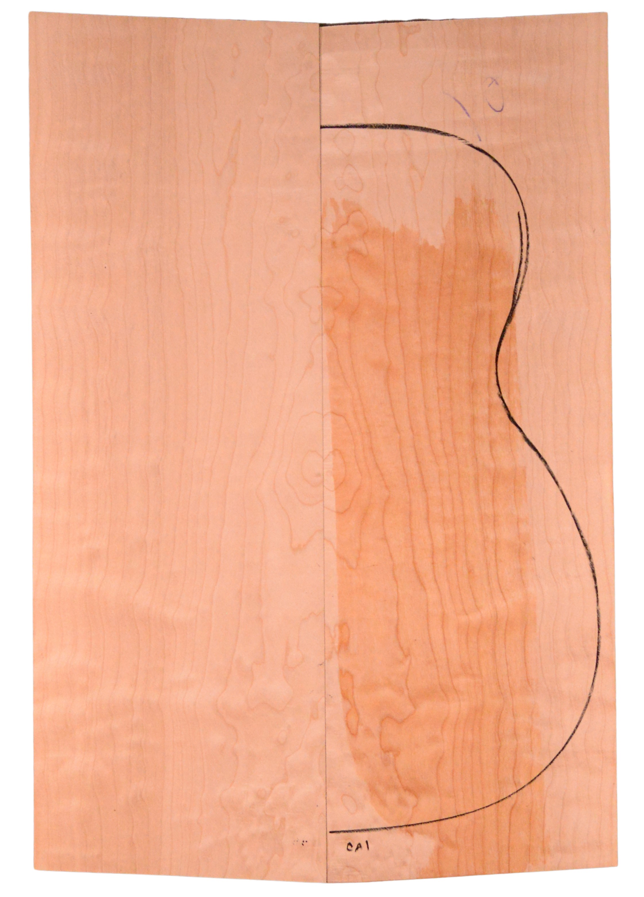 Maple (Big Leaf) GuitarBack2pcATC M2843.G.023