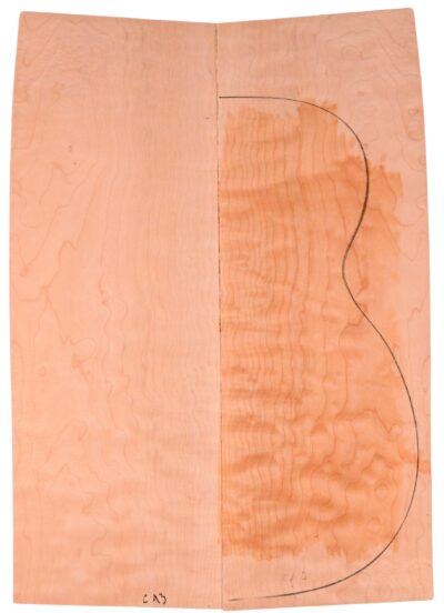 Maple (Big Leaf) GuitarBack2pcATC M2843.G.026