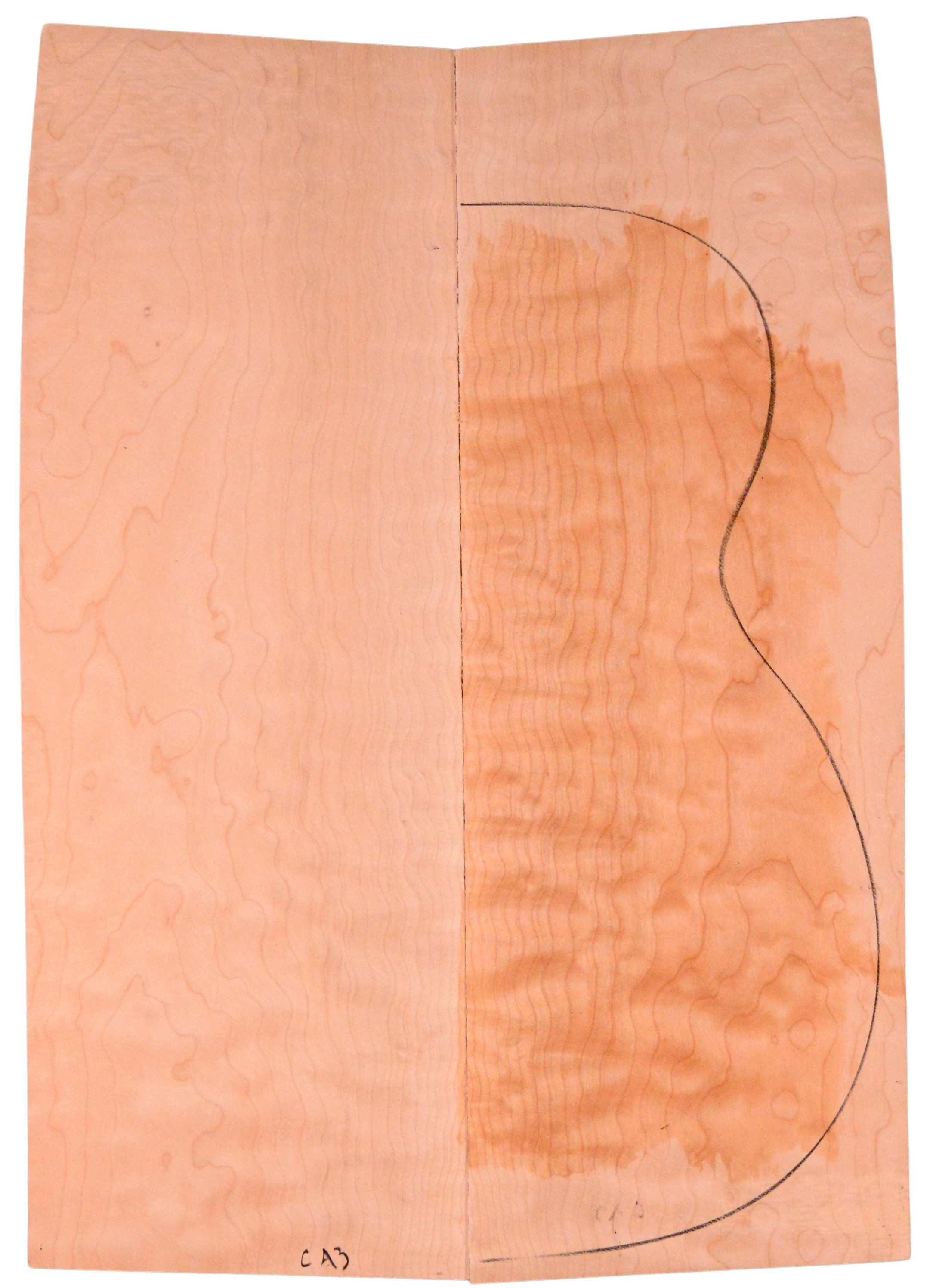 Maple (Big Leaf) GuitarBack2pcATC M2843.G.026