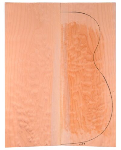 Maple (Big Leaf) GuitarBack2pcATC M2843.G.027
