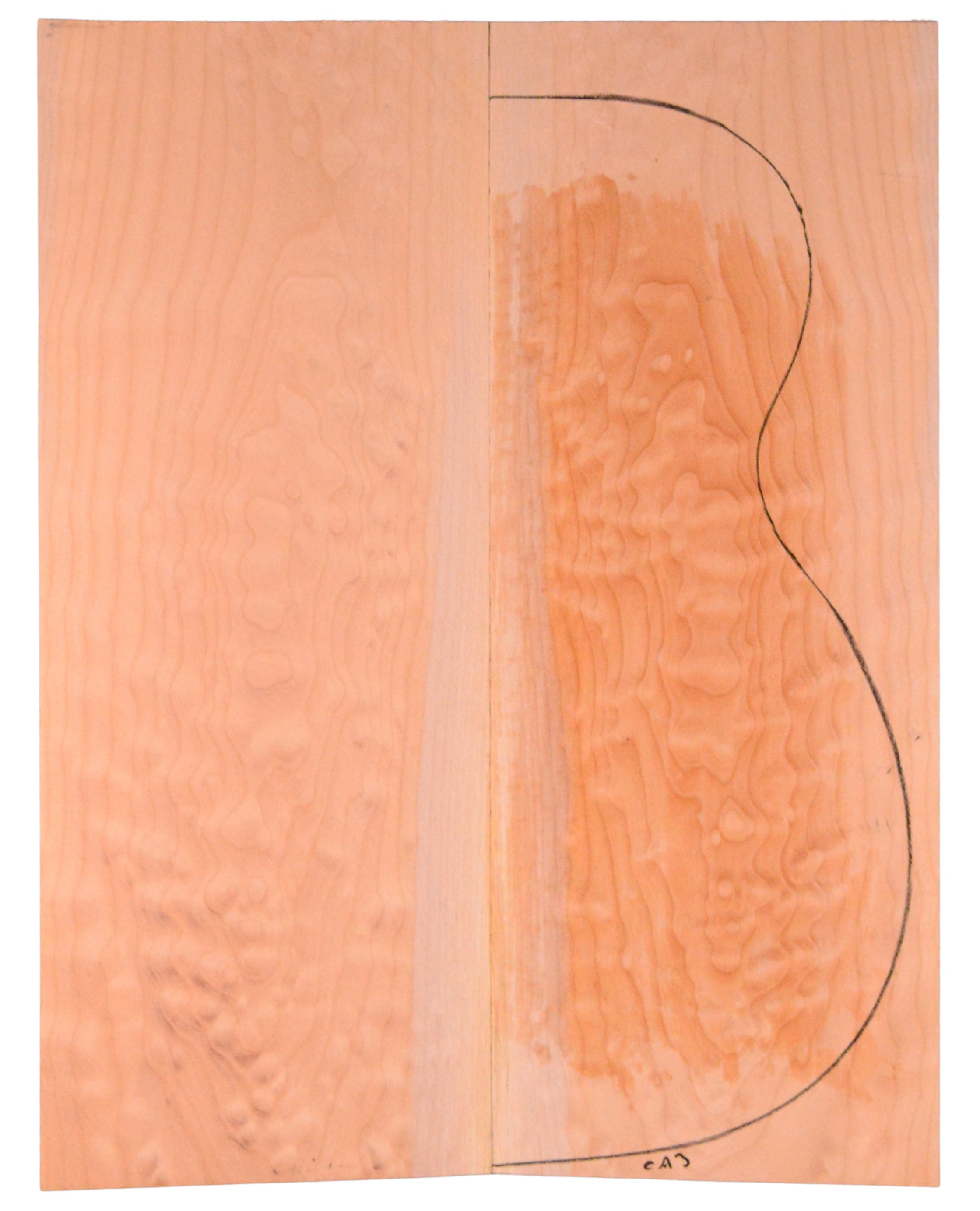 Maple (Big Leaf) GuitarBack2pcATC M2843.G.027