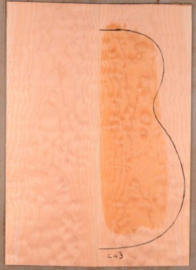 Maple (Big Leaf) GuitarBack2pcATC M2843.G.028
