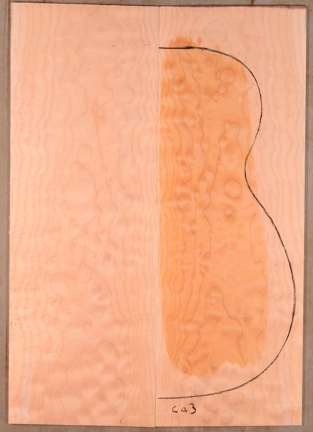 Maple (Big Leaf) GuitarBack2pcATC M2843.G.028