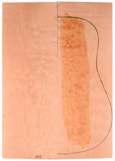 Maple (Big Leaf) GuitarBack2pcATC M2843.G.029