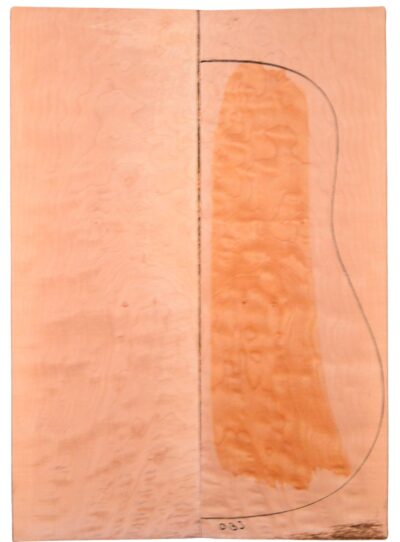 Maple (Big Leaf) GuitarBack2pcATC M2843.G.040