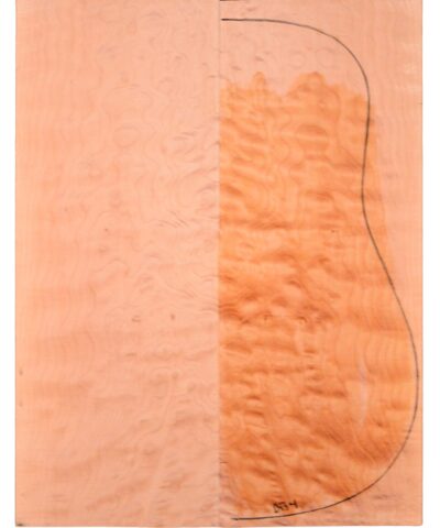 Maple (Big Leaf) GuitarBack2pcATC M2843.G.044