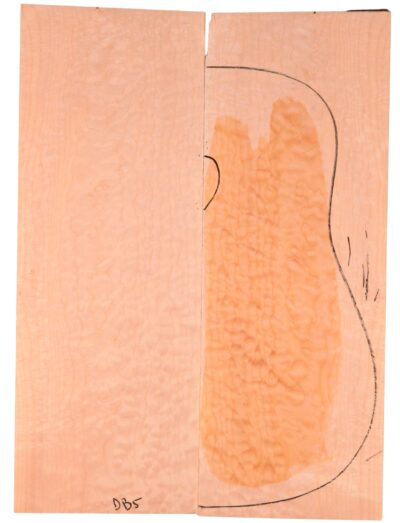 Maple (Big Leaf) GuitarBack2pcATC M2843.G.045
