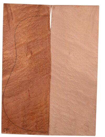Sapele GuitarBack2pcATC M3147.G.034