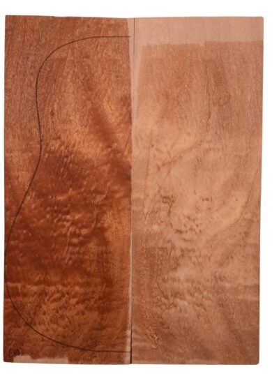 Sapele GuitarBack2pcATC M3147.G.048