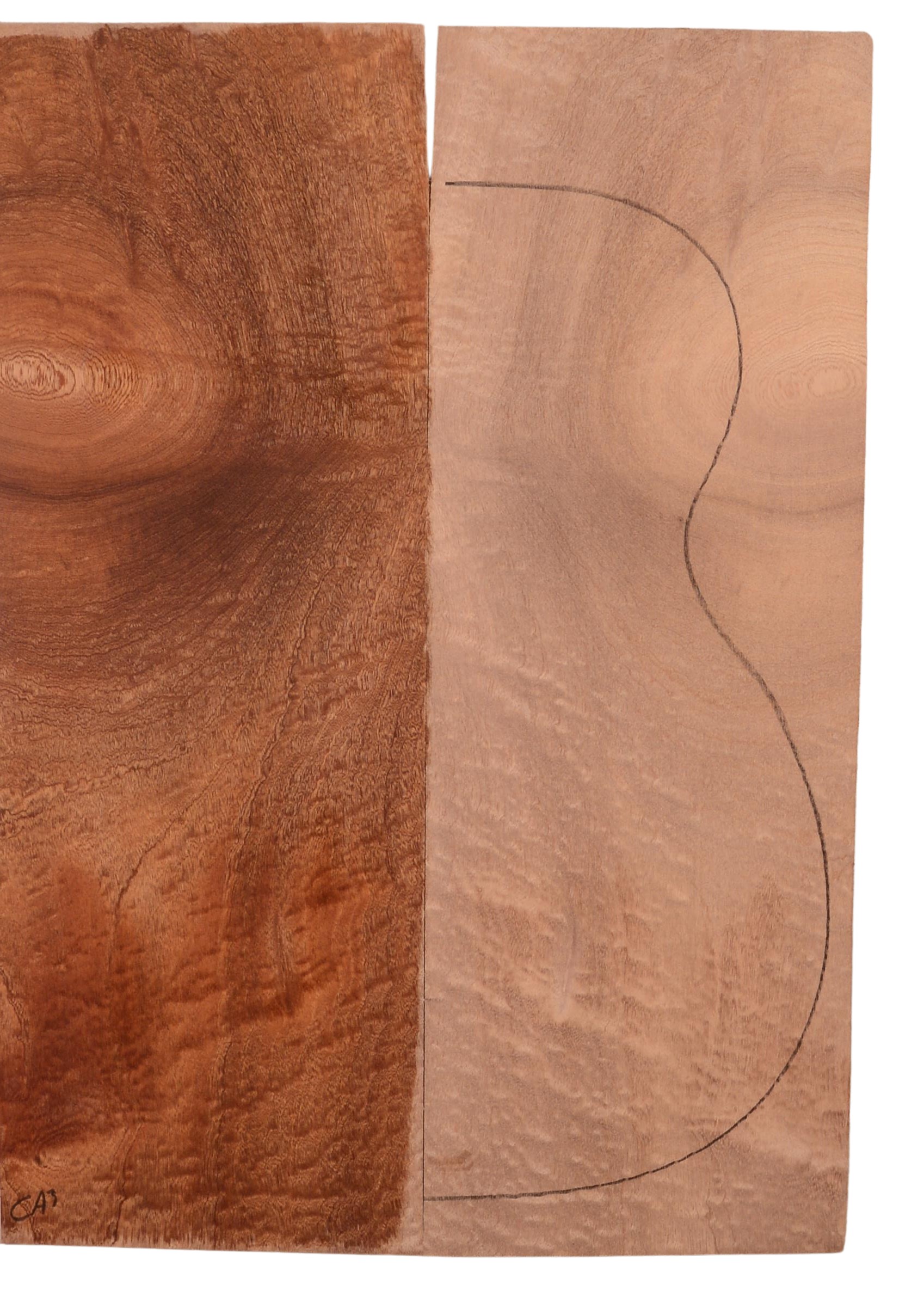 Sapele GuitarBack2pcATC M3147.G.071
