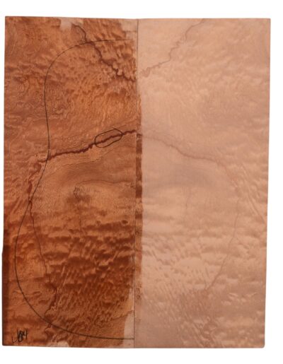 Sapele GuitarBack2pcATC M3147.G.147