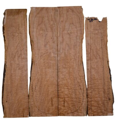 Maple (Big Leaf) GuitarSet4pcATC M3986.G.009