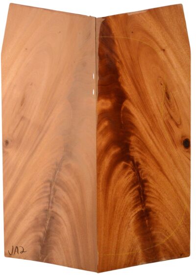 Mahogany (Genuine) GuitarBack2pcATC NAMM19.G.076