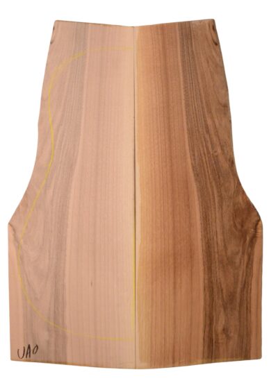 Walnut (European) GuitarBack2pcATC NAMM19.G.082