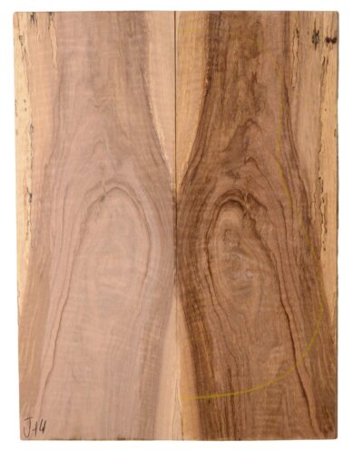 Walnut (English) GuitarBack2pcATC NAMM19.G.104