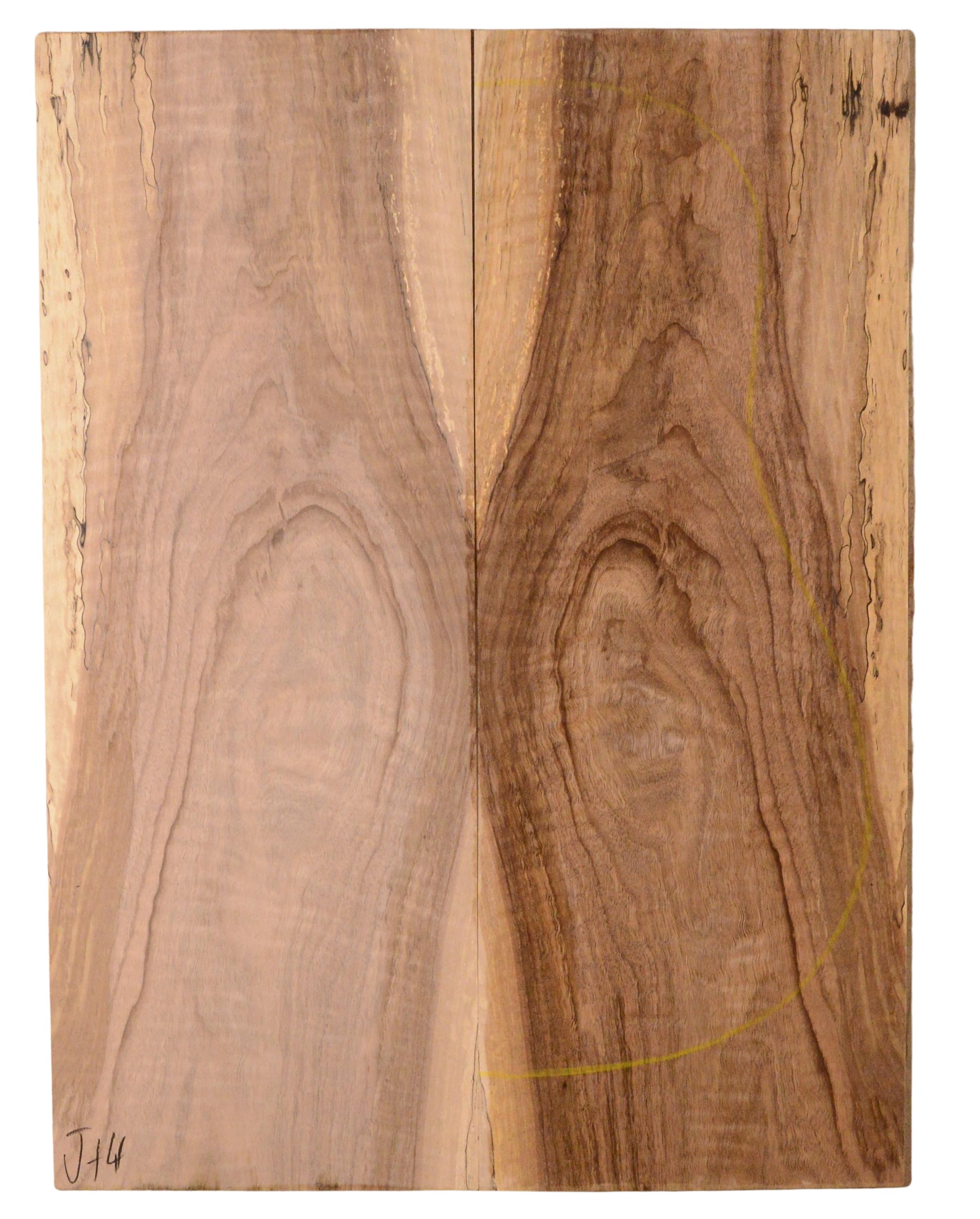 Walnut (English) GuitarBack2pcATC NAMM19.G.104