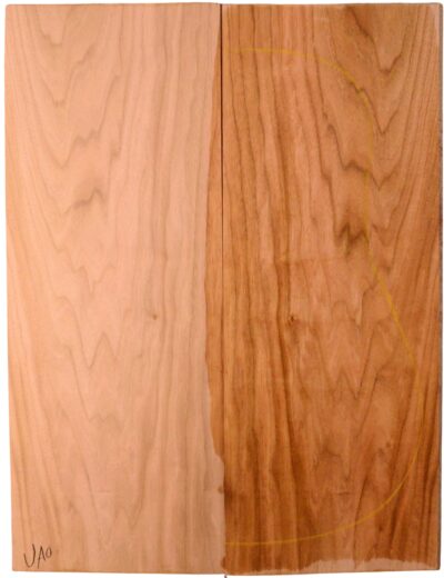 Butternut GuitarBack2pcATC NAMM19.G.210