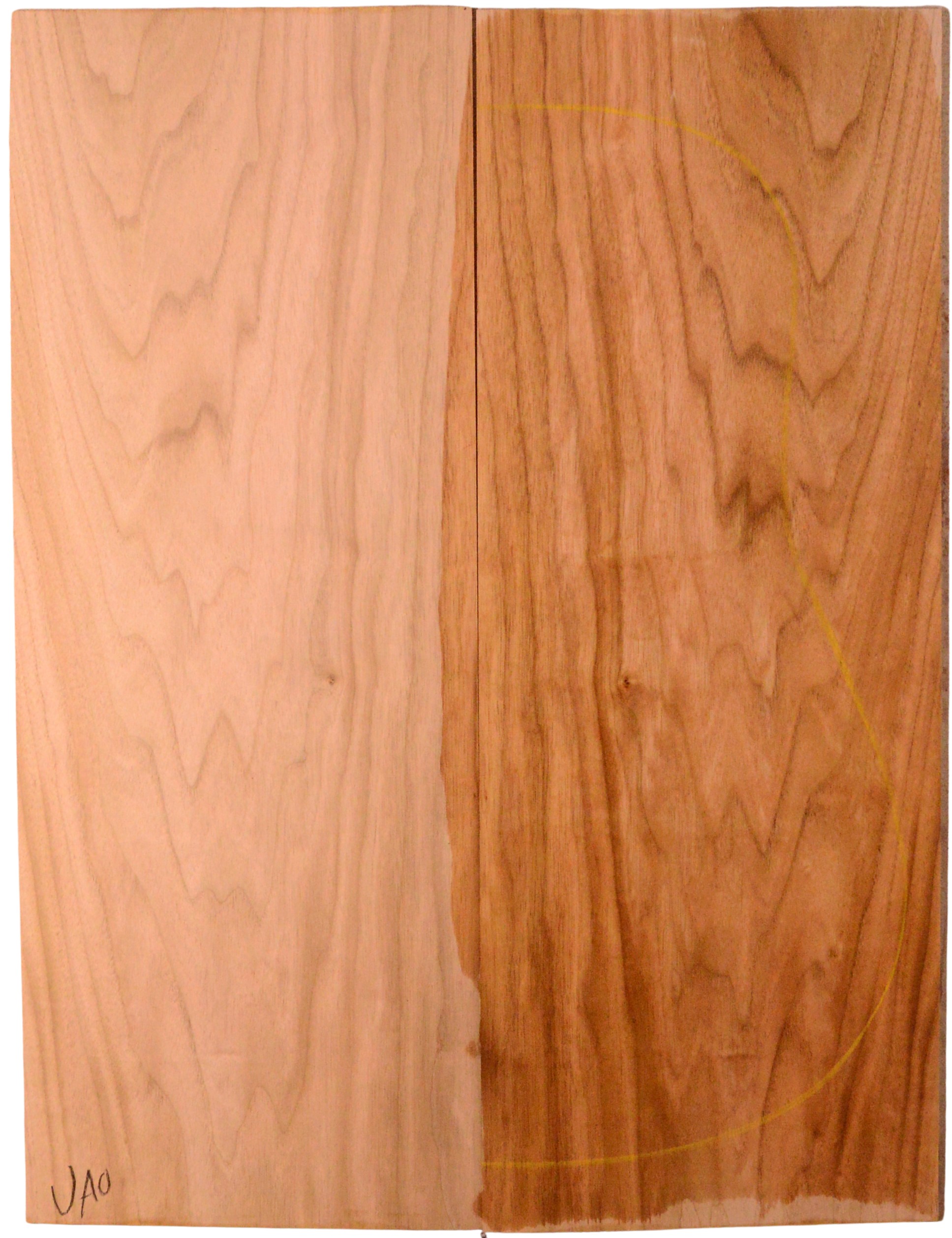 Butternut GuitarBack2pcATC NAMM19.G.210