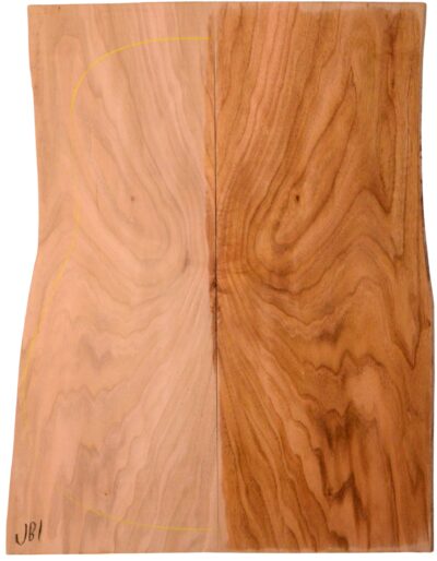 Butternut GuitarBack2pcATC NAMM19.G.211