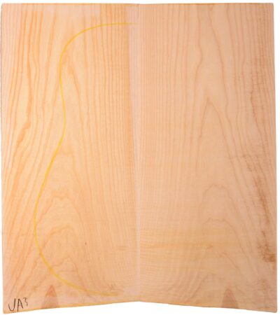 Ash GuitarBack2pcATC NAMM19.G.215