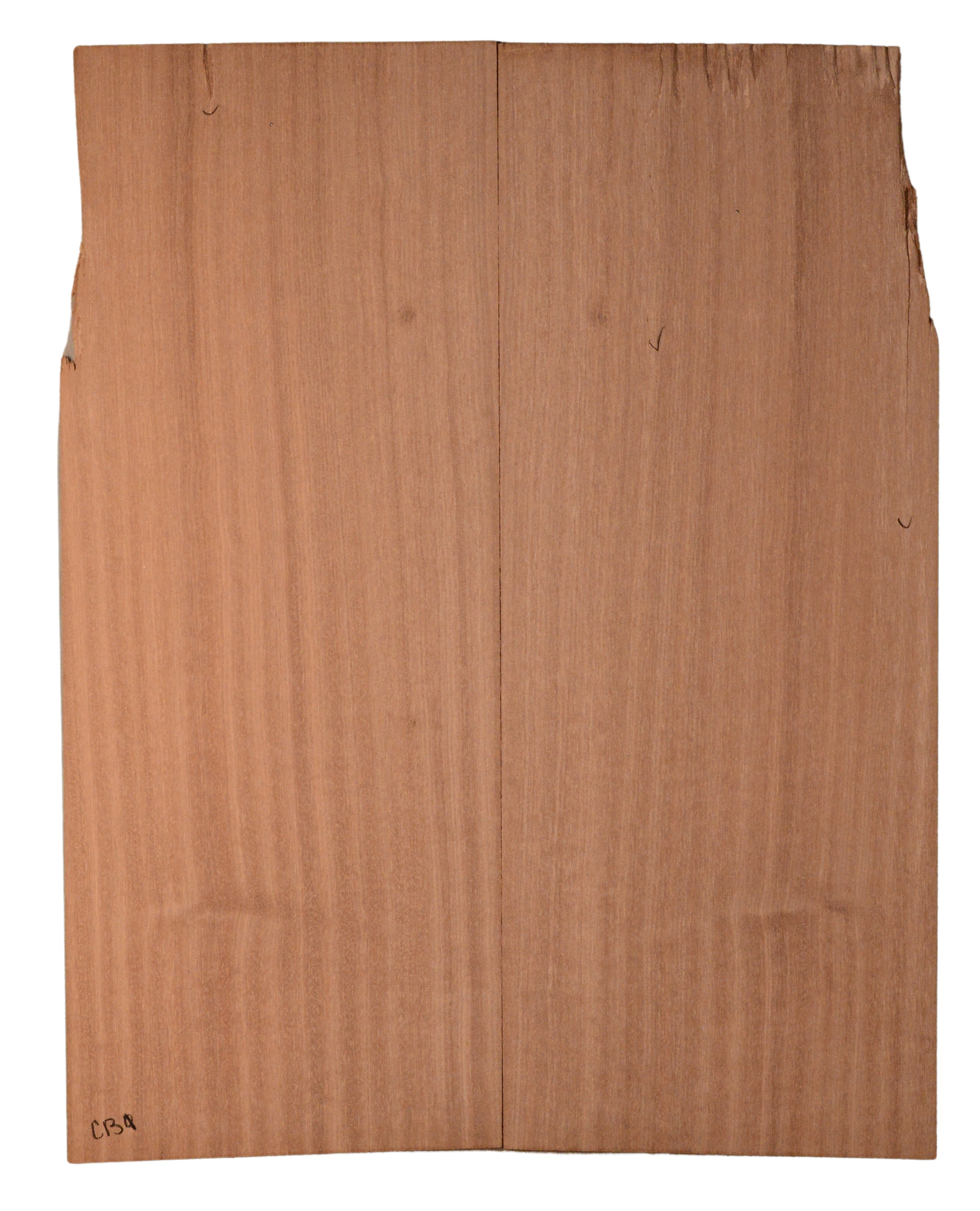 Sapele GuitarBack2pcATC SAPL3.G.016