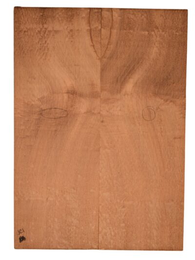 Sapele GuitarBack2pcATC SAPL4.G.104